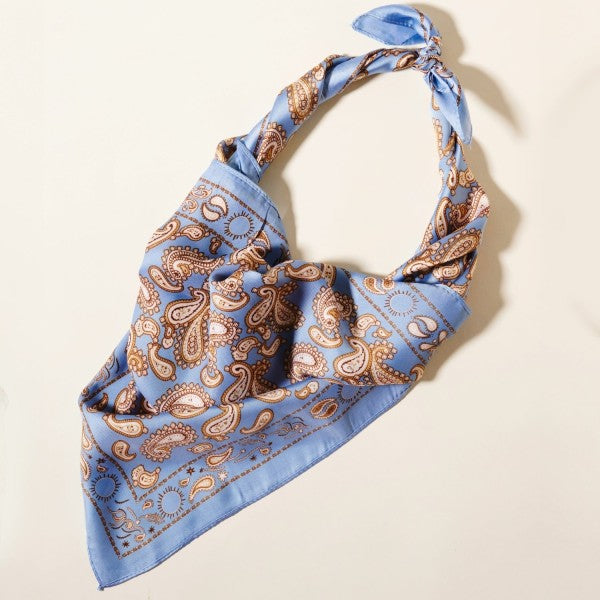 Blue Paisley Scarf